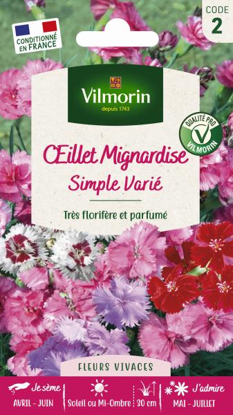 Fleurs - Œillet Mignardise Simple Varié - PACKAGING_RECTO